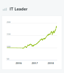 IT Leader