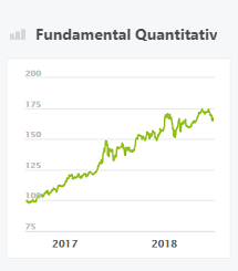 Fundamental Quantitativ