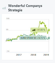 Wonderful Companys Strategie